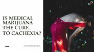 Is Medical Marijuana the Cure to Cachexia?