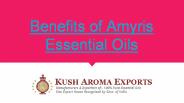 Amyris Essential Oil Benefits