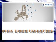 欧洲商标 咨询初创公司商标基础知识推荐 (1)