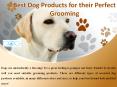 Best Dog Products for their Perfect Grooming PowerPoint PPT Presentation