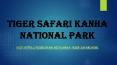 Tiger safari kanha national park PowerPoint PPT Presentation
