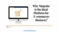 Why Magento is the Ideal Platform for E-commerce Business? PowerPoint PPT Presentation