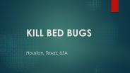 Kill bed bugs