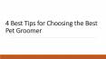 4 Best Tips for Choosing the Best Pet Groomer PowerPoint PPT Presentation
