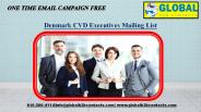 Denmark CVD Executives Mailing List
