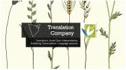 Translation company in Bangalore