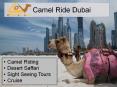 Camel Ride (1) PowerPoint PPT Presentation