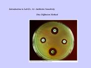 Antibiotic Sensitivity