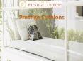 Prestige Cushions PowerPoint PPT Presentation