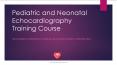 Neonatal and Pediatric Echocardiography Training Course PowerPoint PPT Presentation
