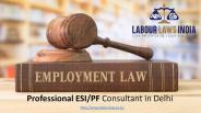 Professional ESI/PF Consultant in Delhi