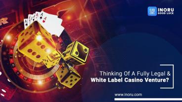 Learn about Whitelabel Casino business! (1)