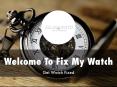 Information Presentation Of Fix My Watch PowerPoint PPT Presentation