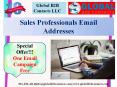 Sales Professionals Email Addresses PowerPoint PPT Presentation