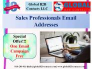 Sales Professionals Email Addresses