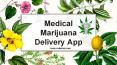 Uber for Medical Marijuana delivery app development PowerPoint PPT Presentation