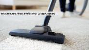 What to Know About Professional Carpet Cleaners