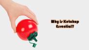 Why is Ketchup Dispenser Essential?