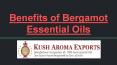 Bergamot Essential Oil Benefits - Kush Aroma Exports PowerPoint PPT Presentation