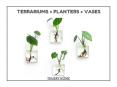 Best Houseplant Decor - TrajektHome PowerPoint PPT Presentation