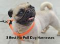 3 Best No Pull Dog Harnesses From Pet Harness Mart PowerPoint PPT Presentation
