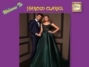 Mother of the Bride Gowns