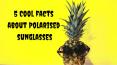 5 Cool Facts About Polarised Sunglasses PowerPoint PPT Presentation