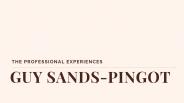 The Professional Experiences - Guy Sands-Pingot