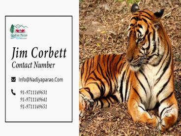 Jim Corbett Contact Number