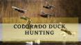 Colorado Duck Hunting PowerPoint PPT Presentation