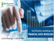Online Financial Modeling, Online Finance Courses MindCypress