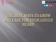 The Best Ways to Grow and Care for Your Lovely Beard (1) PowerPoint PPT Presentation
