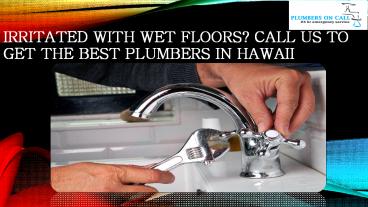 Plumbers in Hawaii (1)