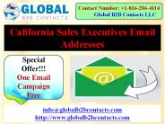 California Sales Executives Email Addresses