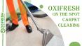 Oxifresh On The Spot Carpet Cleaning PowerPoint PPT Presentation