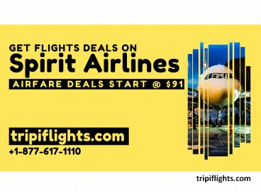 Spirit Airlines Flights Tickets - Tripiflights | Must See!