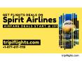 Spirit Airlines Flights Tickets - Tripiflights | Must See! PowerPoint PPT Presentation