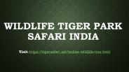 Wildlife Tiger Park Safari India
