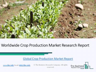 Global Crop Production Market Research Report 2019