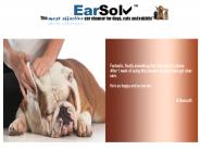 Dog Ear Infection