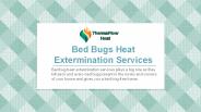 Bed Bugs Heat Extermination Services