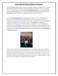 Stemsa Florist Flower Delivery (1) PowerPoint PPT Presentation
