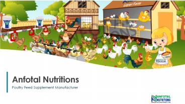 Poultry Feed Supplement Manufacturer