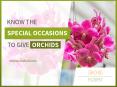 Leading Flower Shop in Berkeley - Orchid Florist PowerPoint PPT Presentation