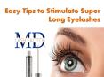 Grow Healthier and Longer Lashes Through Lashes Growth Product PowerPoint PPT Presentation
