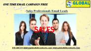 Sales Professionals Email Leads