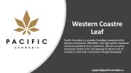 Mail Order Marijuana - pacificcannabis.ca