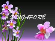 About Singapore
