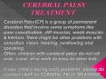Cerebral Palsy Treatment PowerPoint PPT Presentation