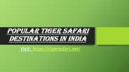 Popular Tiger Safari Destinations in India
